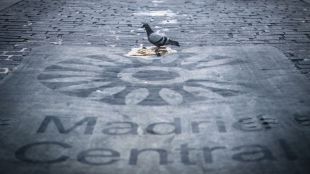 Ampliación de moratorias a los padres y buses discrecionales para entrar