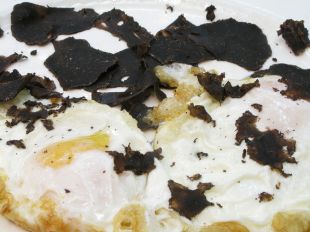 La trufa negra 'reina' en La Cocina de María Luisa