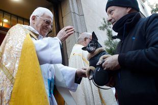 Desfile de mascotas, panecillos y conferencias por San Antón