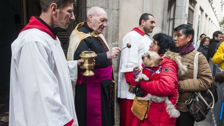 Cientos de mascotas son bendecidas en el día de San Antón.