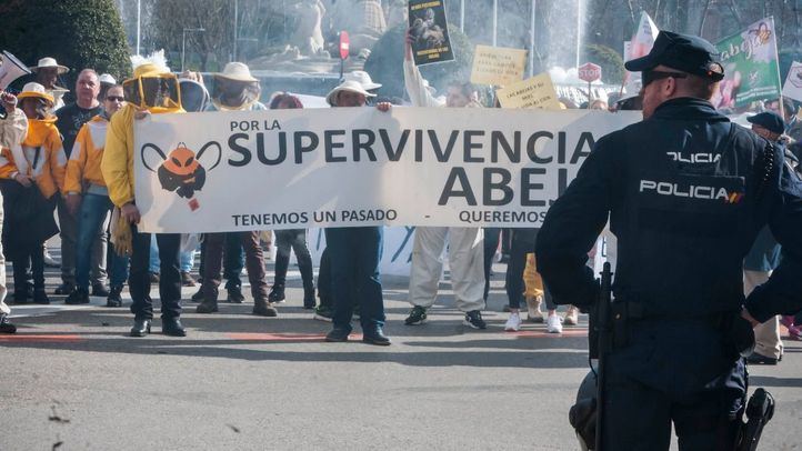 Representantes del sector apícola se reunieron este miércoles con miembros del Gobierno.