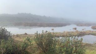 Madrid se vuelca en evitar la extinción de sus humedales