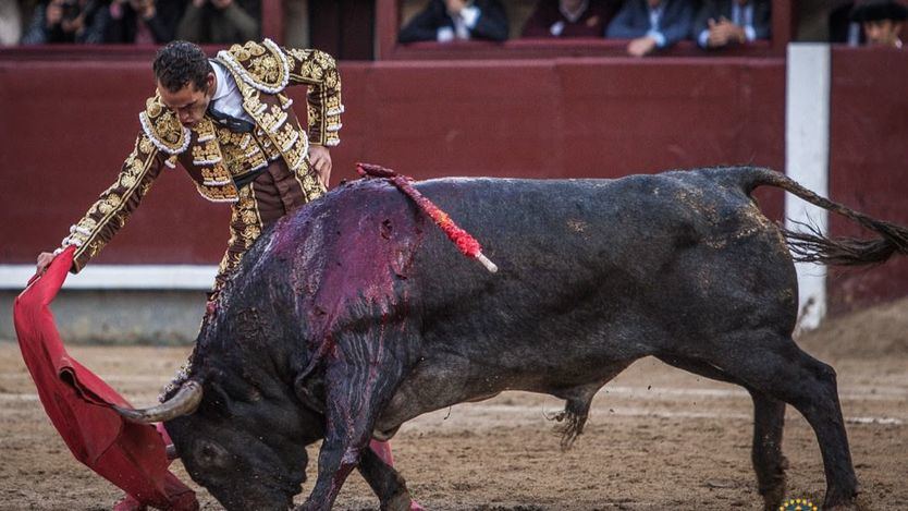San Isidro: ‘Chaparrito’, un gran ‘adolfo’, versus Pepe Moral, un gran torero