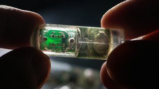 Los sensores biomiméticos revolucionan la medicina