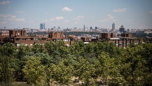 Madrid y Arroyomolinos obtienen la distinción de 'Ciudades Arboladas del Mundo'
