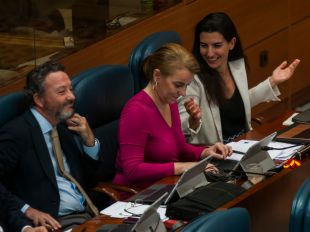 Frustración por la negativa de Vox a las declaraciones institucionales