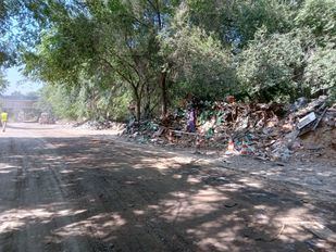 El río Jarama recupera el cauce bajo y medio a su paso por Coslada y San Fernando de Henares