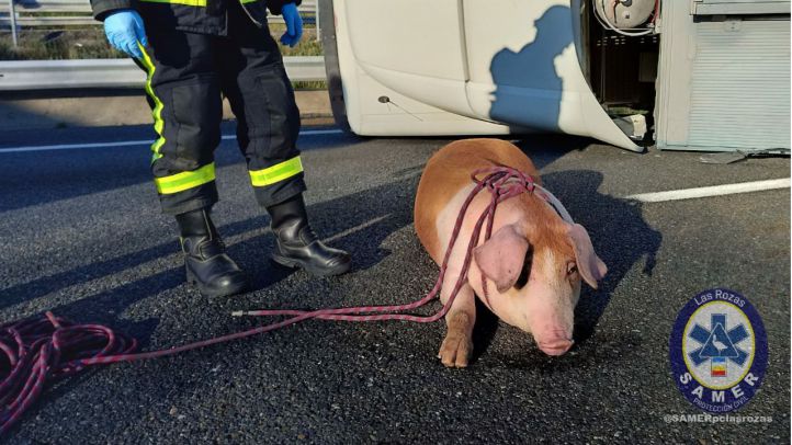 El accidente se ha producido a la altura de la localidad de Las Rozas.