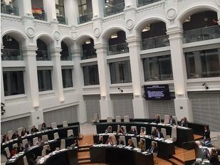 Miembros de colectivos memorialistas, desalojados por interrumpir el Pleno