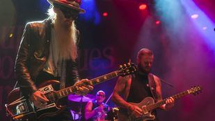 Las Noches del Botánico 2020: una inmejorable pléyade de variadas estrellas musicales