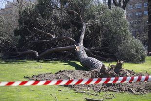La AEMET activa el aviso amarillo en la Sierra por rachas de viento de hasta 90km/h
