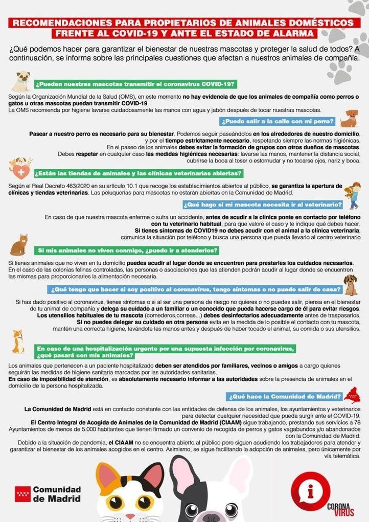 La protectora El Refugio ofrece atención veterinaria gratuita a perros y gatos de desempleados