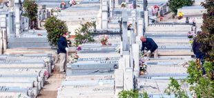 Ayuntamiento adelanta la construcción de nichos en el cementerio de la Almudena y saca a concurso el proyecto