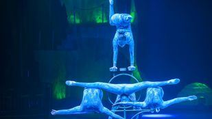 La Comunidad preparara actividades para celebrar el Día del Circo