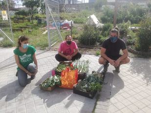 Más de una veintena de huertos urbanos de Madrid donan sus cosechas a las familias más vulnerables