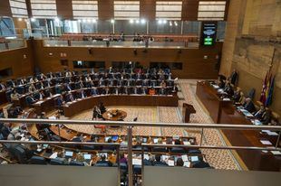 El plan de desescalada, medidas económicas y residencias centrarán este jueves el debate en la Asamblea