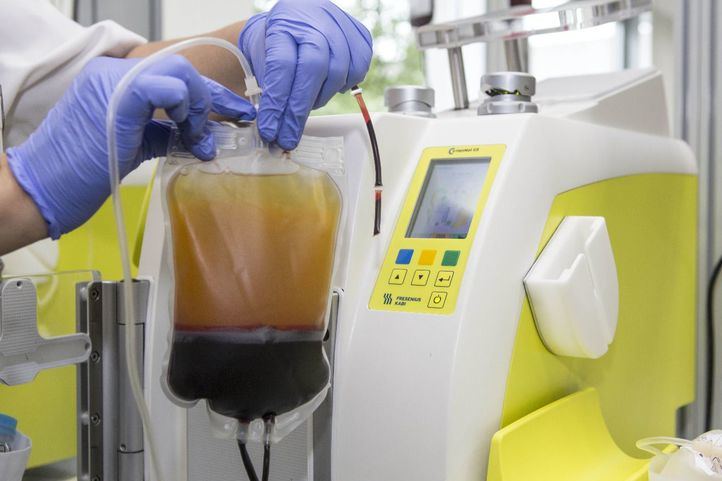 Donación de sangre.