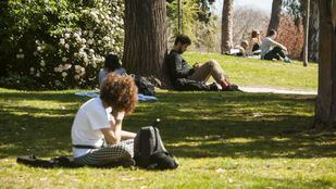 PSOE cuestiona la apertura de los pequeños parques y Más Madrid critica que no se abran los grandes