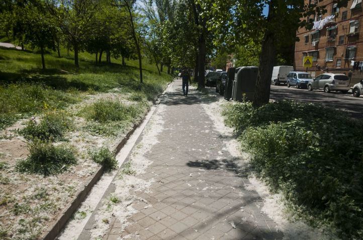 Los parques 'más pequeños' de los distritos han abierto este viernes