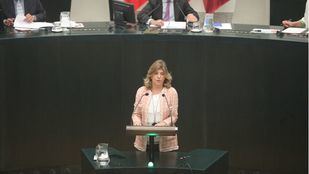 Madrid fue "el primer Ayuntamiento que aprobó paquete de medidas fiscales" contra la crisis, según Hidalgo