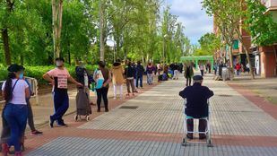 Almeida: "Si hay colas del hambre en Aluche es porque el Gobierno no nos deja usar recursos financieros"