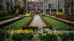 El Jardín Botánico podrá recibir visitantes desde el lunes 25 de mayo