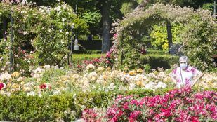 Explosión primaveral en Madrid