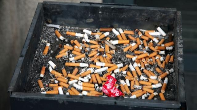 Por tus huesos, no fumes , la campaña para concienciar sobre los daños que produce el tabaco