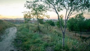 Vecinos de Vicálvaro y Vallecas pueden decidir desde hoy la remodelación del Cerro Almodóvar