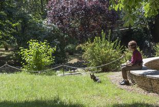 Recomendado el desalojo de parques a partir de las 15 horas por meteorología adversa