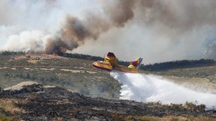 Casi toda la región, en riesgo alto de incendios forestales