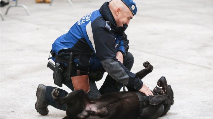 Imagen de archivo de un Policía Municipal jugando con un perro.