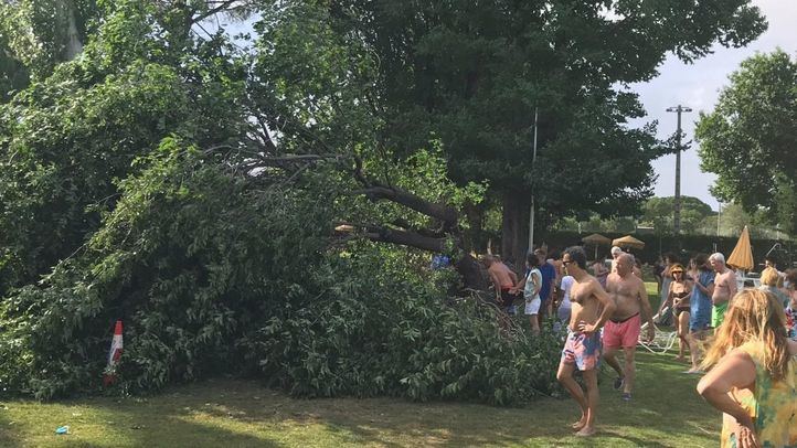 Una adolescente de dieciséis años ha sido trasladada leve al Hospital de La Princesa tras caer un árbol en una zona de piscina del Club de Campo Villa de Madrid