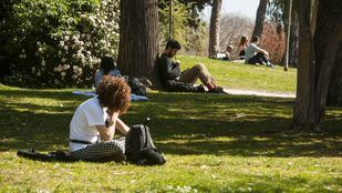Las fuertes rachas de viento previstas obligan a cerrar de nuevo los parques de la capital esta tarde