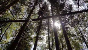 El brote de Soria afecta a tres menores de Madrid