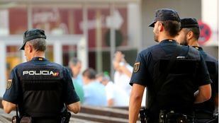 Desmantelado un grupo de butroneros cuando se disponía a dar un nuevo golpe