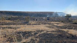 Incendio en la Cañada Real: desalojada una granja de caballos
