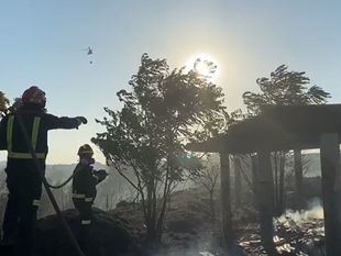 Arden 17 zonas de pasto en Colmenar Viejo