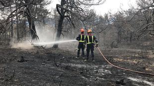 La Comunidad emprenderá trabajos de recuperación en terrenos del incendio de Cadalso