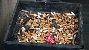 Madrid ya consultó la posibilidad de prohibir fumar en espacios al aire libre