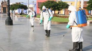 Uso de desinfectante para combatir el coronavirus causa muerte de la vida silvestre