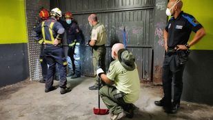 Encuentran una víbora venenosa escondida en la puerta de un garaje en Manzanares el Real
