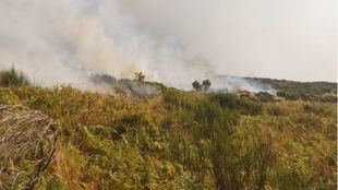 Un convoy de bomberos de Madrid ayuda a extinguir el incendio de Cabezuela del Valle