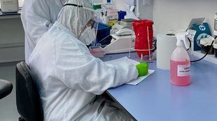 Madrid comienza los ensayos clínicos de la vacuna del coronavirus