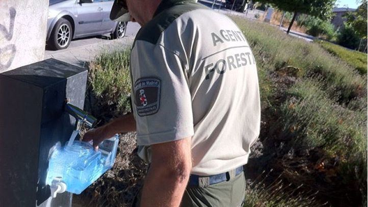 Un agente forestal salva la vida a un niño de 2 años que se había atragantado con una aceituna