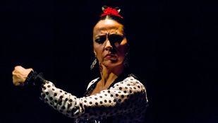 Torres Bermejas, el primer tablao flamenco que reabre con un escenario protegido con mamparas