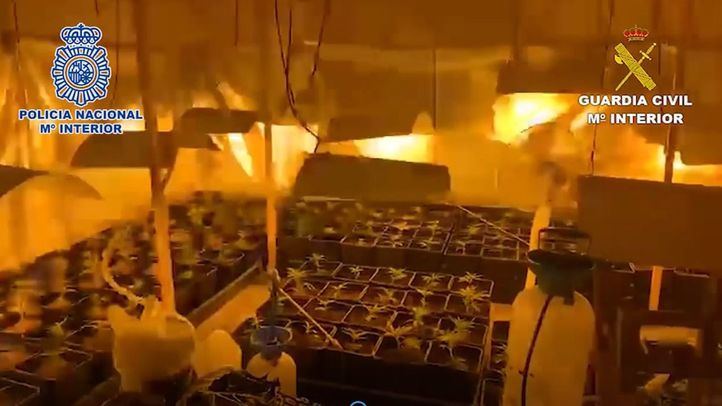 Plantación indoor de marihuana en Soto del Real