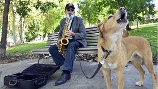 El saxofón y Golden, el perro que canta al ritmo de la música