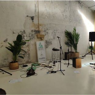 Desalojadas 91 personas sin mascarilla en un concierto no autorizado