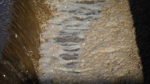 El Canal Isabel II detecta presencia de Covid-19 en el 75% de sus aguas residuales